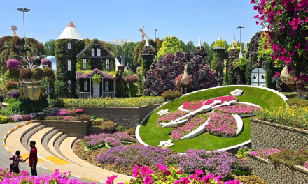 Destinasi Hijau Bertema Oasis Siap Jadi Daya Tarik Baru Dubai