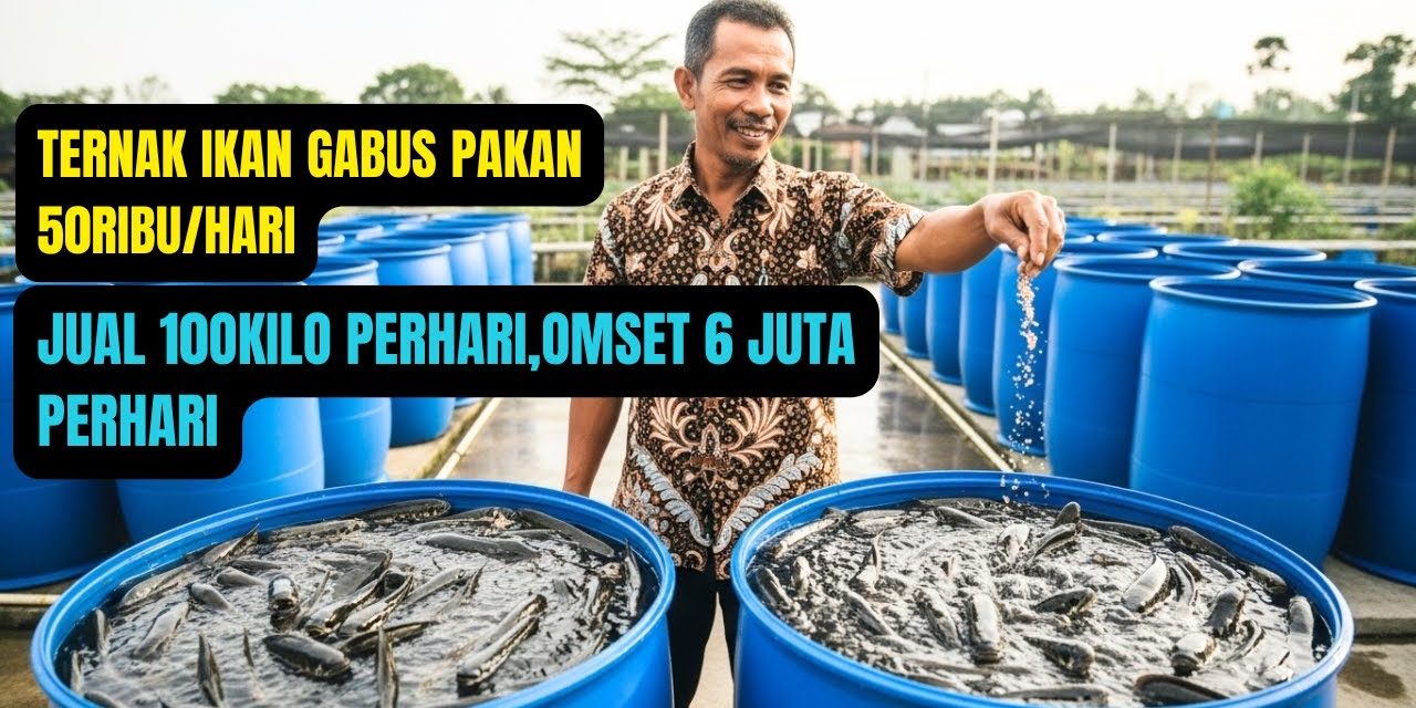 Usaha Ternak Ikan Hemat Modal: Mulai Dari Rp 1 Juta Ke Bawah