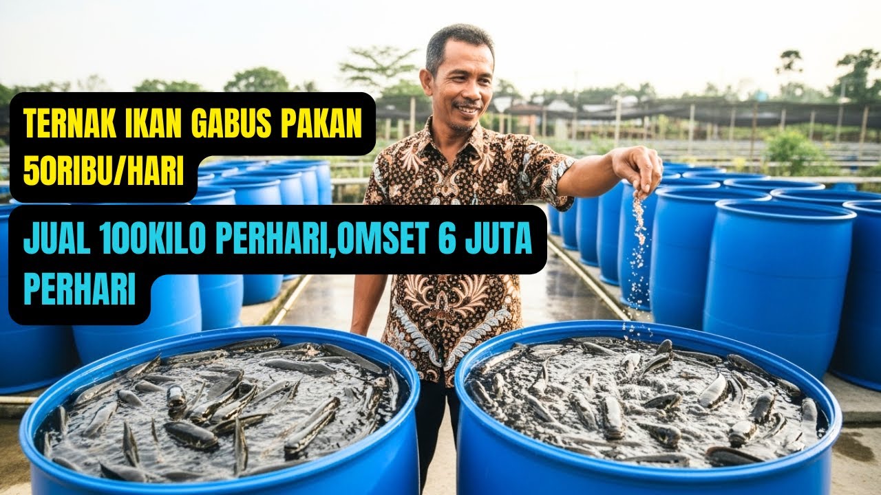 Usaha Ternak Ikan Hemat