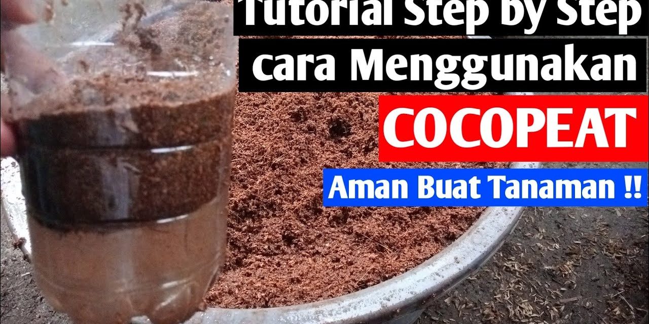 Analisis Cocopeat Dan Rockwool: Mana Yang Lebih Tepat?