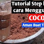 Analisis Cocopeat Dan Rockwool: Mana Yang Lebih Tepat?