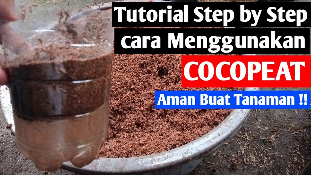 Analisis Cocopeat Dan Rockwool