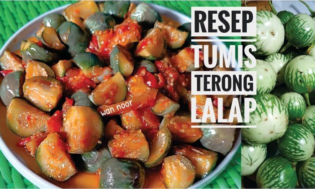 Pedas Menggoda! 6 Resep Tumis Terong Bulat Favorit