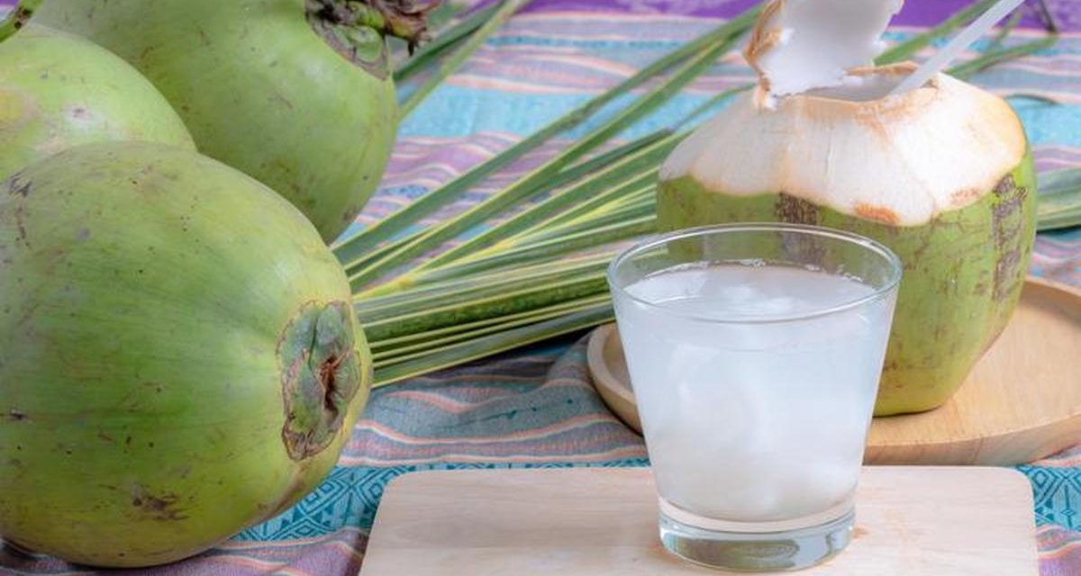 Air Kelapa Menjadi Pilihan Tepat Untuk Kamu Konsumsi Tiap Hari