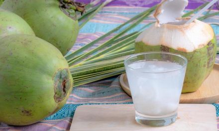 Air Kelapa Menjadi Pilihan Tepat Untuk Kamu Konsumsi Tiap Hari