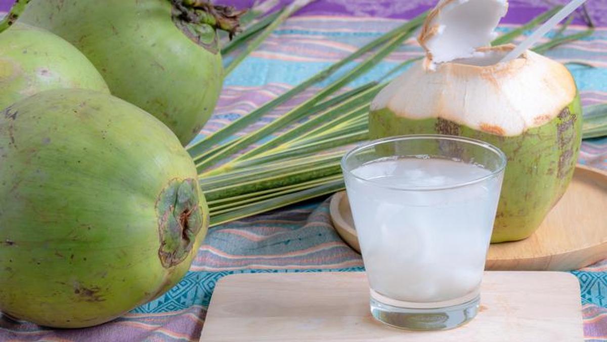 Air Kelapa