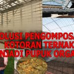 Pupuk Kandang Dari Kotoran Ayam: Tutorial Bagi Pemula