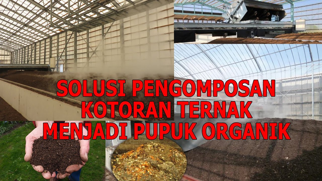 Pupuk Kandang