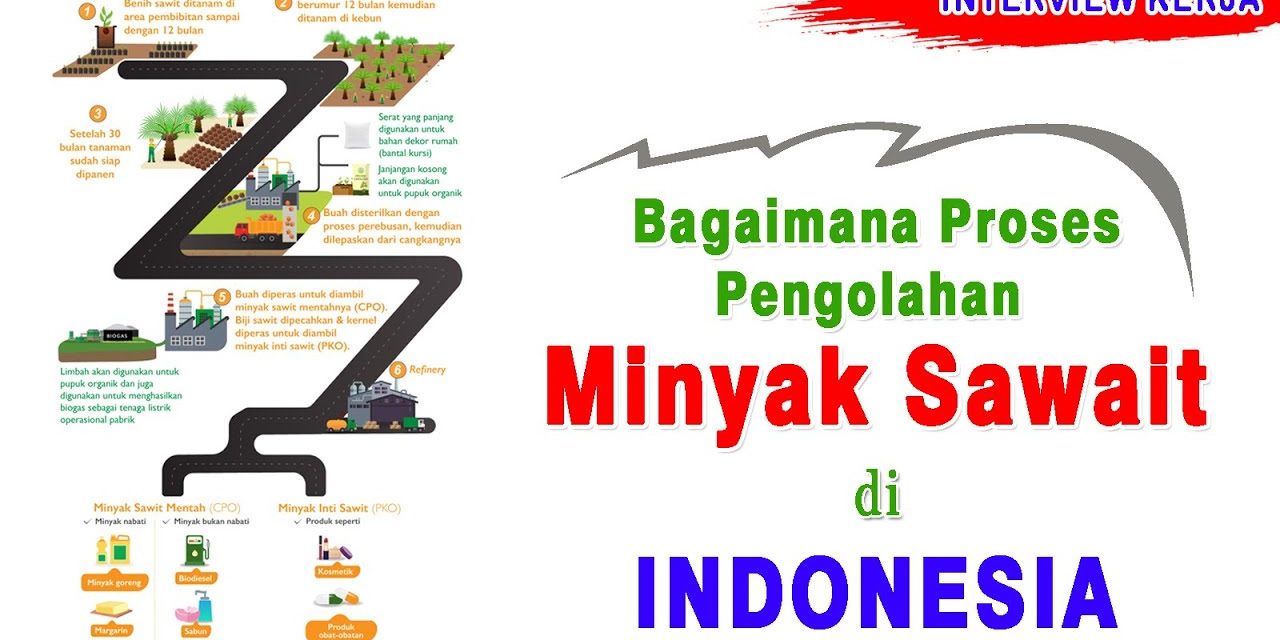 Mengenal Proses Pengolahan Minyak Kelapa Sawit Yuk Kita Bahas
