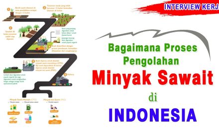 Mengenal Proses Pengolahan Minyak Kelapa Sawit Yuk Kita Bahas